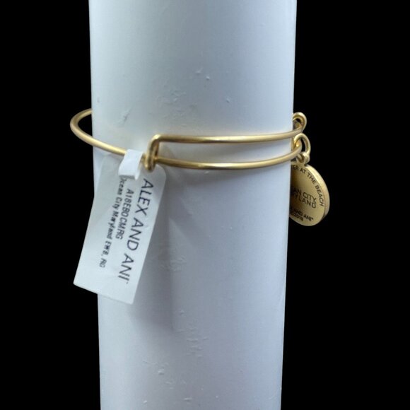 Alex And Ani Ocean City Maryland Beach Bangle Bracelet Summer Nautical NWT - Picture 6 of 9